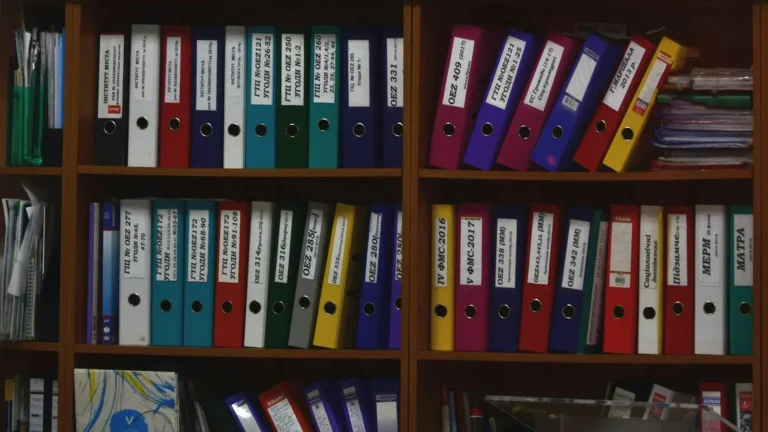 Organised folders representing ACF custom fields and post types