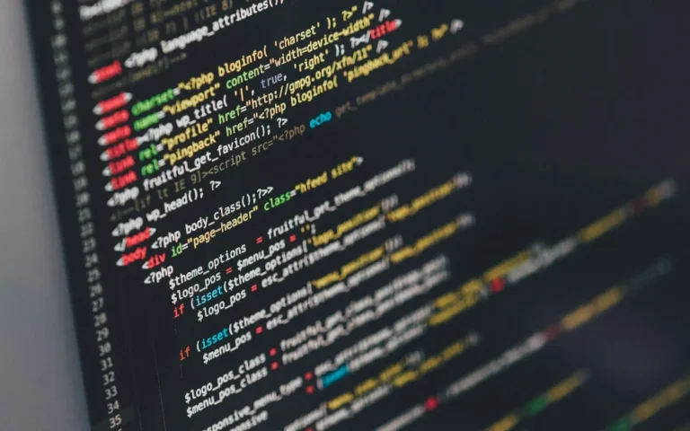 Developer monitor showing code for a custom WordPress plugin
